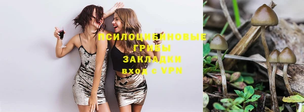 тгк Белокуриха