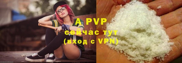 тгк Белокуриха
